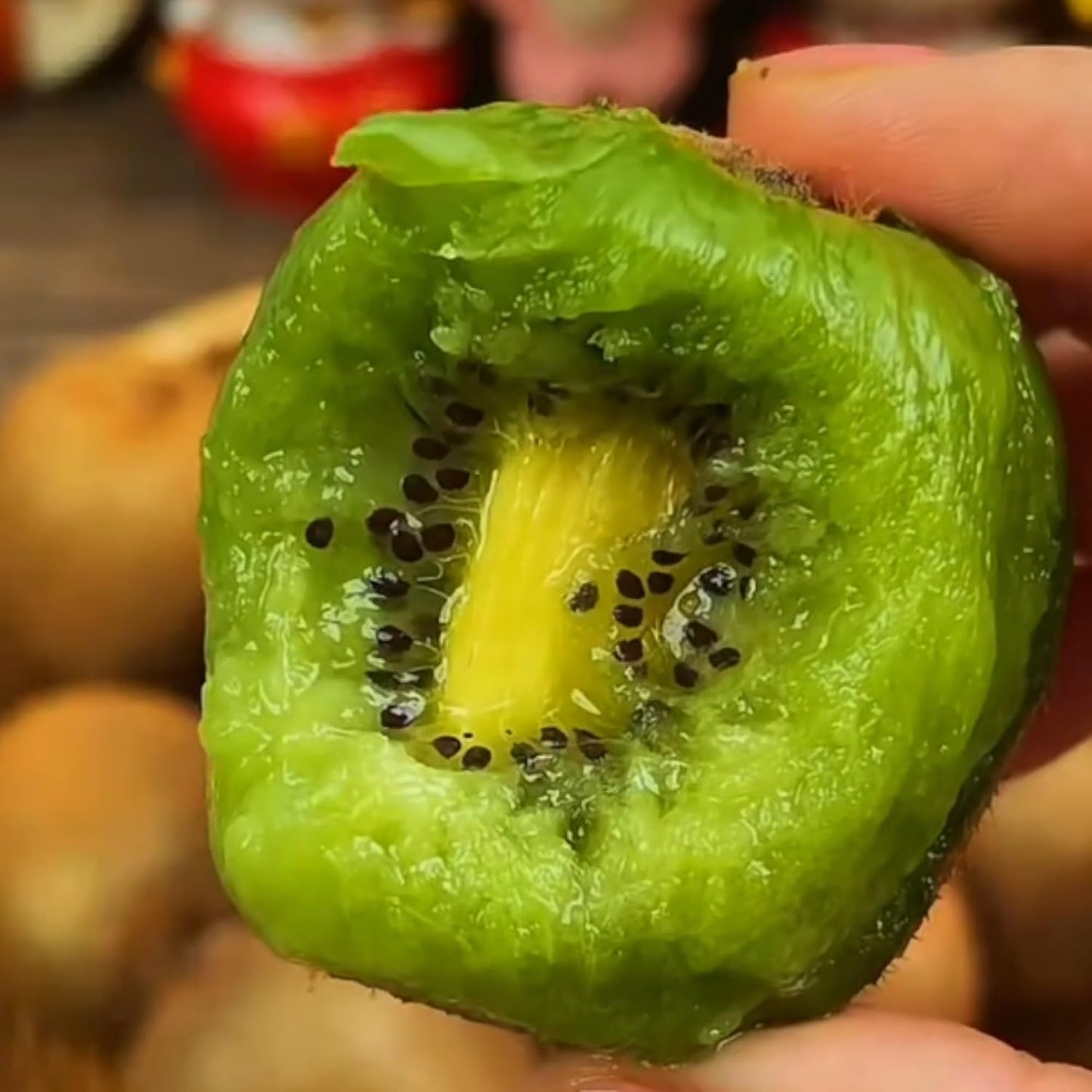 198Pcs Kiwifruit Seeds for Planting – Sweet Fruit Vine for Home Garden