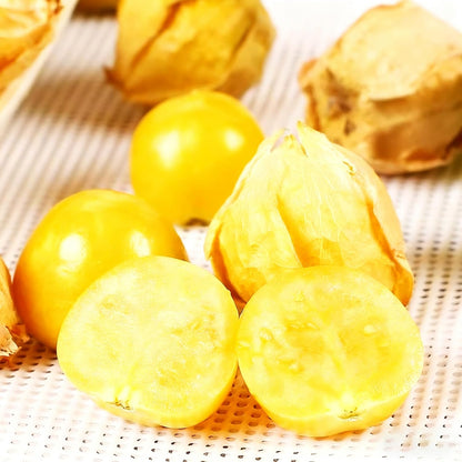 500Pcs Easy to Sow Groundcherry Seeds ideal for forming continuous natural ornamental lines along garden borders and yard edges