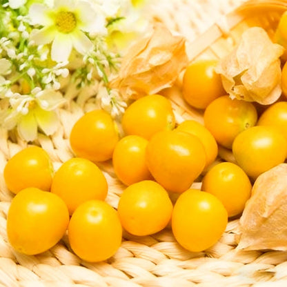 500Pcs Easy to Sow Groundcherry Seeds ideal for forming continuous natural ornamental lines along garden borders and yard edges