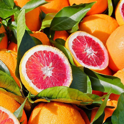 50pcs Blood Orange Tree Seeds for Planting, Dwarf Citrus for Pots