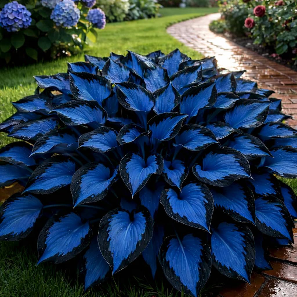 100pcs Hosta Seeds -  Perennial Flower Seeds for Shade Gardens, Long Blooming Plants for Ground Cover & Containers, Ideal for Shaded Pathways and Borders