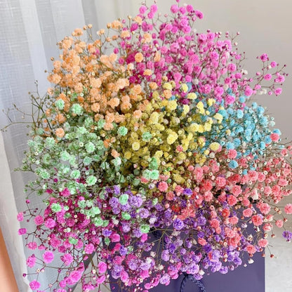 100 Mixed Gypsophila flower seeds, Easy Growing, Perfect for Fresh & Dried Bouquets, Wedding Decor
