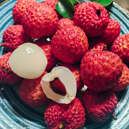 10Pcs Lychee Fruit Seeds for Planting, Perennial Litchi Seed, Sweet Fruit, Non-GMO Heirloom Litchi Seed for Home Gardening
