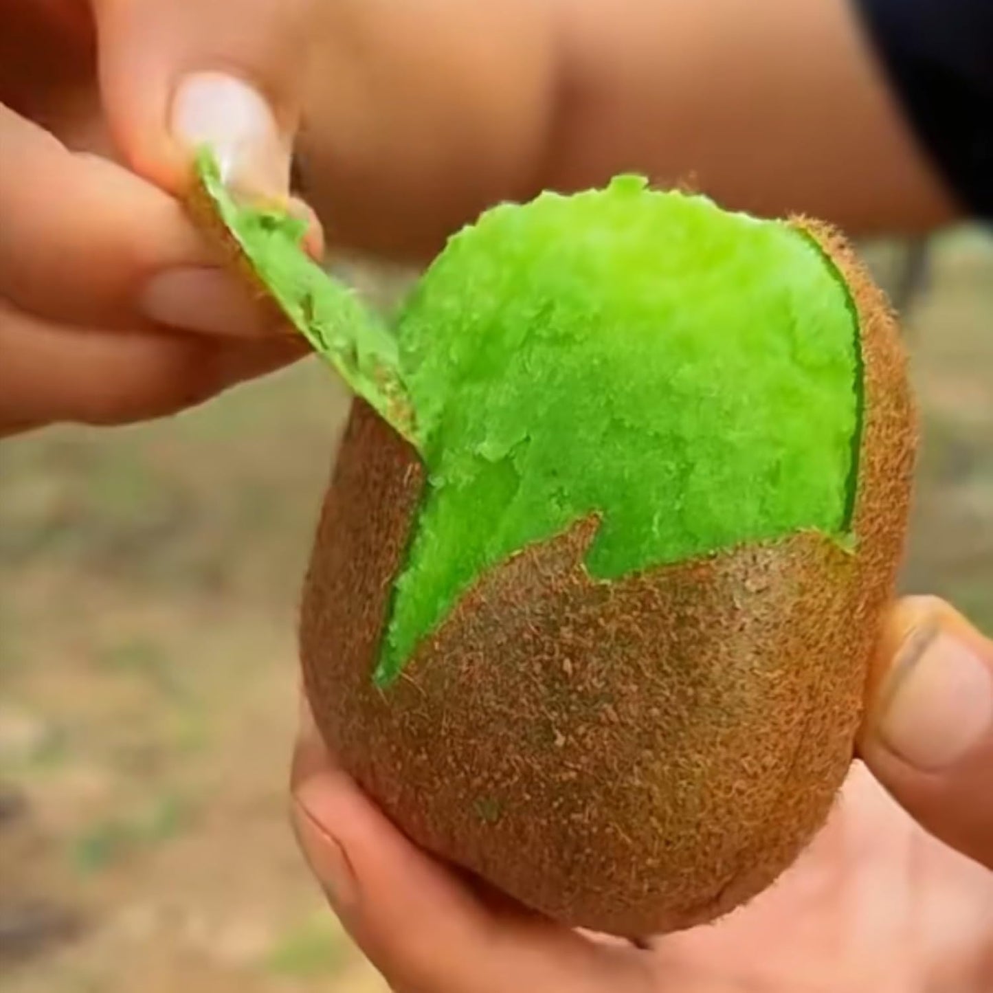198Pcs Kiwifruit Seeds for Planting – Sweet Fruit Vine for Home Garden