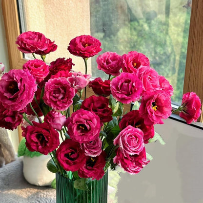 100Pcs Lisianthus Seeds adapting well to full sun and mild sheltered outdoor growing conditions