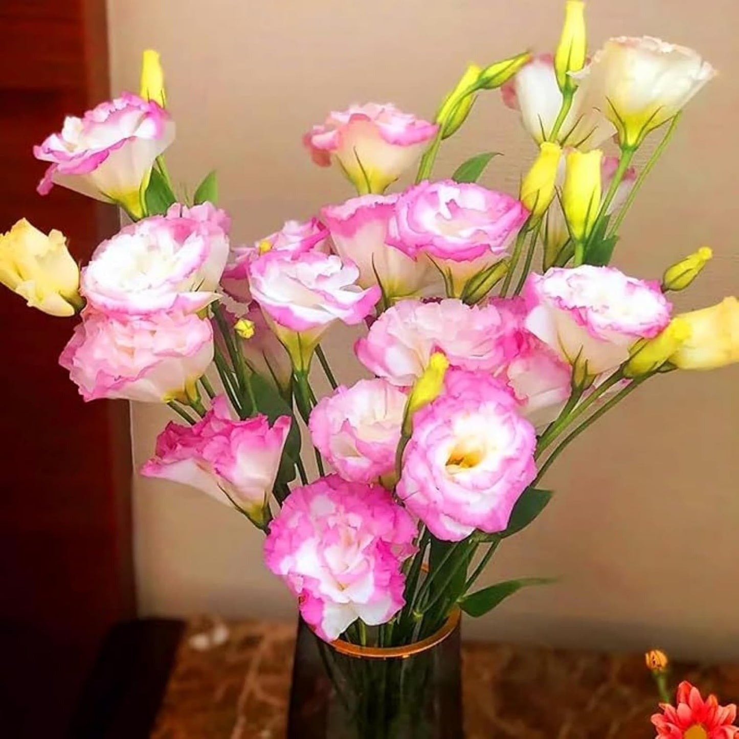 89Pcs Mix Lisianthus Flower Seeds for Planting - Annual Lisianthus Non-GMO Flower Seeds Perennial Cut Flower Plant Garden Home Ornamental Flower
