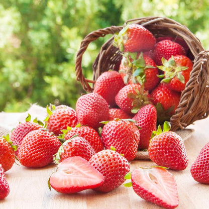 280Pcs Strawberry Fruit Seeds for Planting Home Garden Outdoor