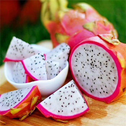 100Pcs Dragon Fruit Seeds Great for beginner cultivation with solid adaptability to sun exposure and warm ambient conditions