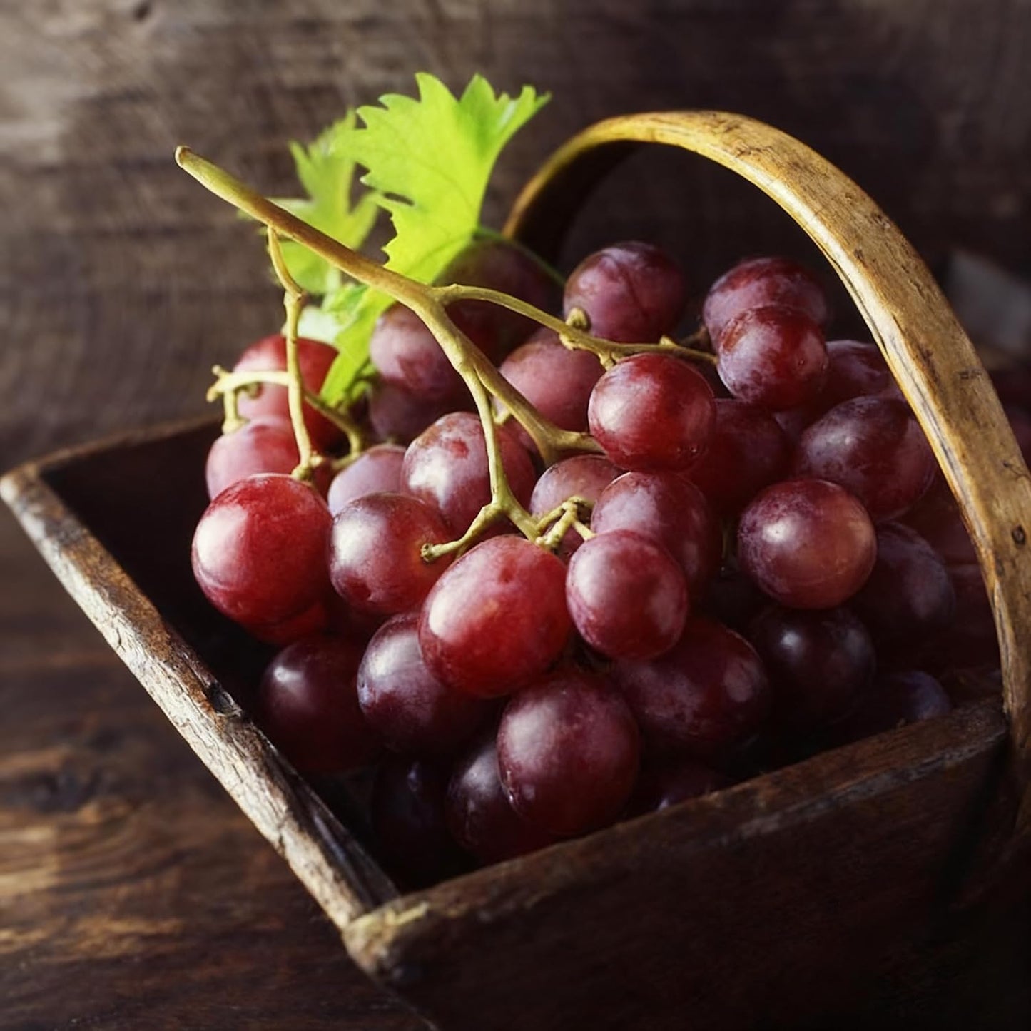 50Pcs Grape Fruit Seeds for Planting, Vitis vinifera Fruit Seed, Non-GMO Heirloom Red Grape Fruit Seeds for Small Garden Border, Home Outdoor