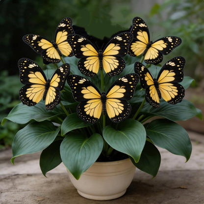 200pcs Fragrant Butterfly Begonia seeds  Low Maintenance Ideal for Balcony Pots & Garden Decoration
