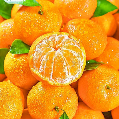 46Pcs Orange Tree Seeds Develop Graceful Tree Structure That Enhances The Overall Aesthetics Of Backyard Areas