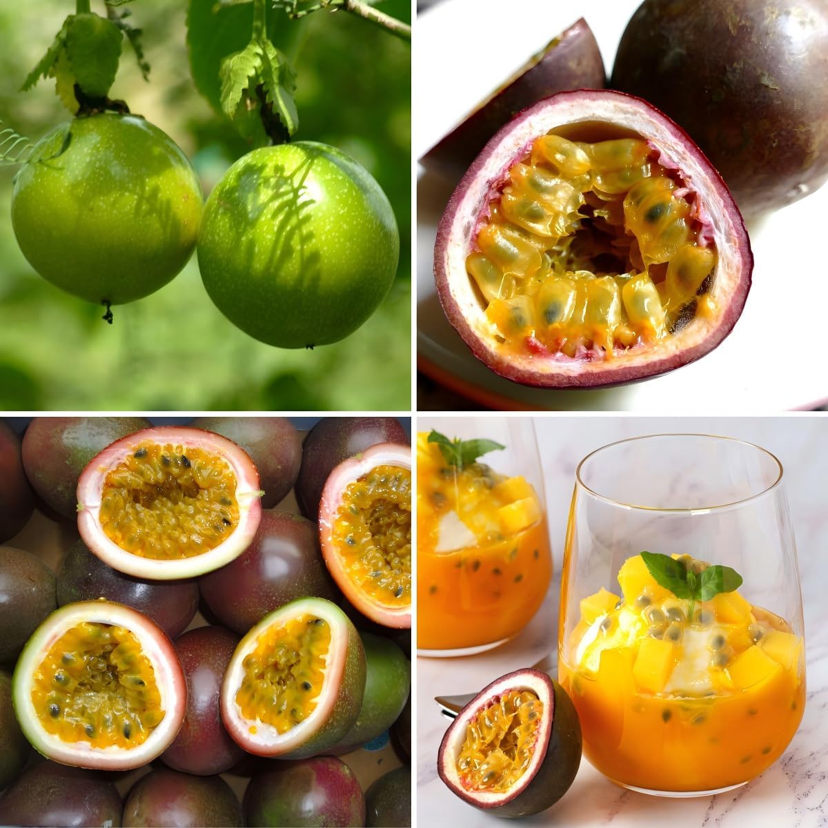 87Pcs Passion Fruit Seeds for Planting,  Fast-Growing Sweet Fruit for Home Garden