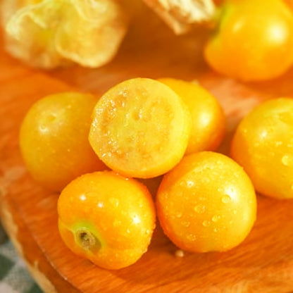 500Pcs Easy to Sow Groundcherry Seeds ideal for forming continuous natural ornamental lines along garden borders and yard edges