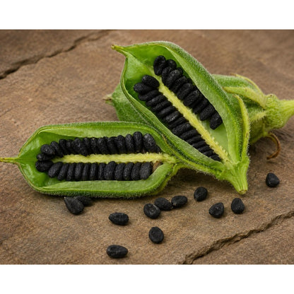 500pcs Ornamental And Practical Black Sesame Seeds For Multi Use Garden Planting