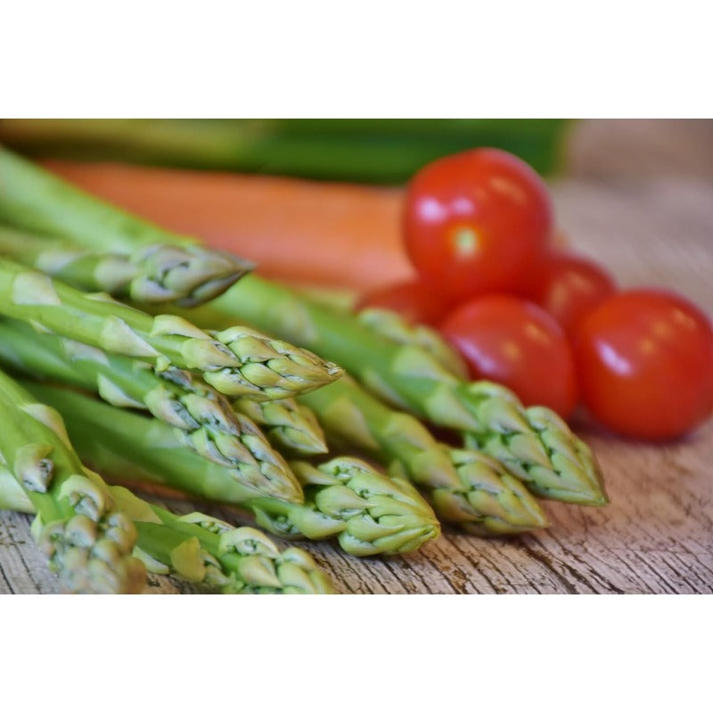 100pcs Straightforward Growing Asparagus Seeds ideal for lining garden bed rows, border edges and leisure open grounds