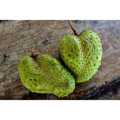 10pcs Soursop Pawpaw Seeds Simple To Establish Ideal For Creating A Productive Landscape That Remains Beautiful All Warm Season