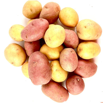 200Pcs Potato Seeds Perfect for beginner sowing adapt well to garden bed planting and backyard cultivation placement