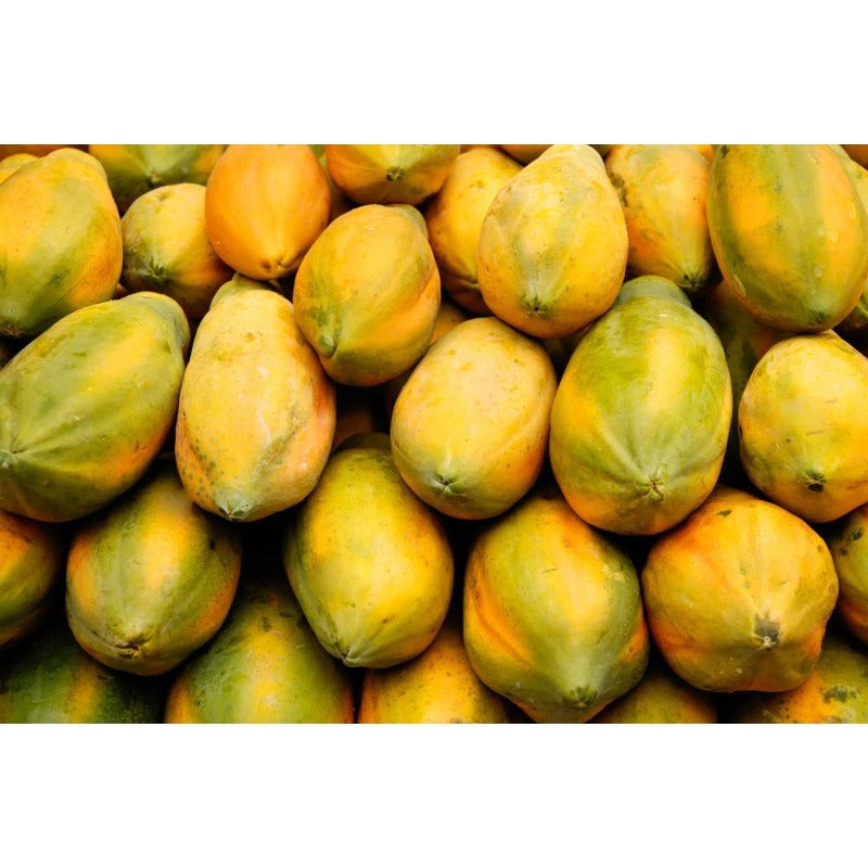 30Pcs Ornamental Papaya Seeds Low Care Perennial Fleshy Seeds with Papaya Seeds for Indoor Pots