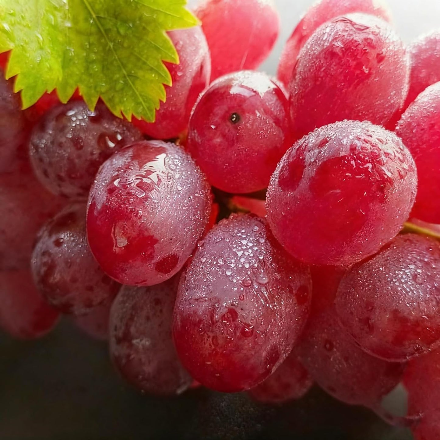 50Pcs Grape Fruit Seeds for Planting, Vitis vinifera Fruit Seed, Non-GMO Heirloom Red Grape Fruit Seeds for Small Garden Border, Home Outdoor