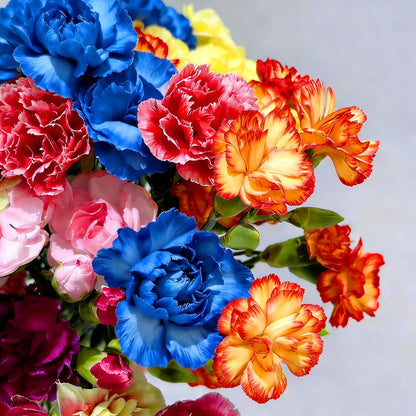 Mix Carnation 200 pcs Perennia Carnation Seeds Non-GMO Heirloom Open Pollinated Beauty Home Garden for Outdoors