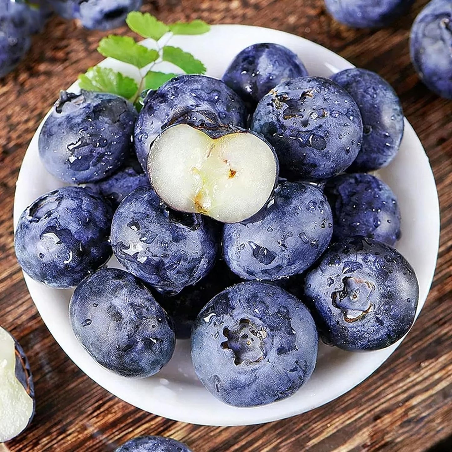 487Pcs Blueberry Seeds for Planting, Non-GMO Blueberry Seed, Fruit Tree Seeds, Heirloom Berry Seed for Gardens and Containers