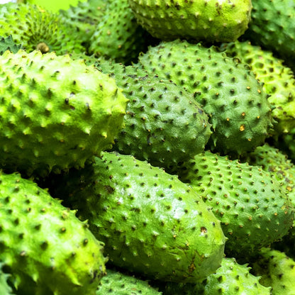 10Pcs Soursop Pawpaw Seeds Fast To Sprout Great For Creating A Functional Beautiful Garden Space With Tropical Appeal