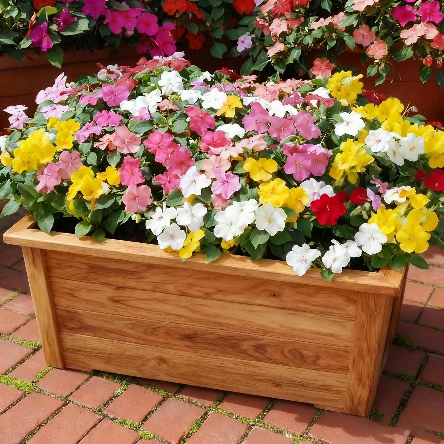 100pcs Mixed Color Impatiens Seeds, Perennial Impatiens for Ornamental Garden Potted Bonsai Indoor
