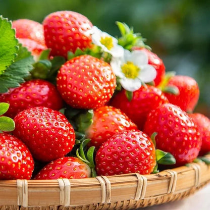 275Pcs Cream Strawberry Seeds Fall & Spring Planting Vibrant Multi-Color Harvest