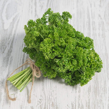 Seeds Herb Curly-Leaf Parsley Paramount Green - 500 Seeds
