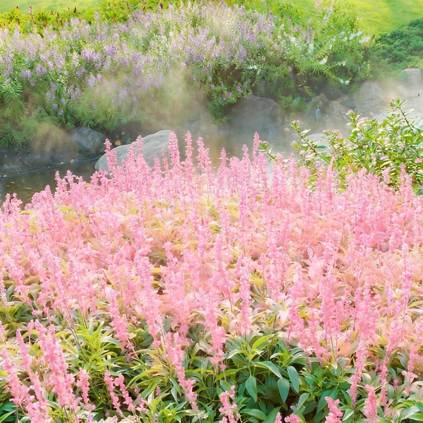 1000pcs Mixed Lavender Seeds for Planting, Non-GMO Heirloom Lavender Perennial Flower Seeds Plants, Open Pollinated Beauty Home Garden Flowers in Outdoors Indoors