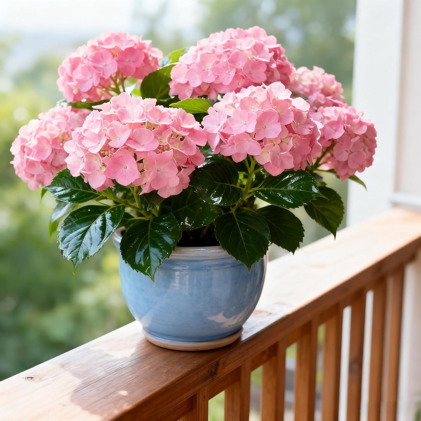 50Pcs Hydrangea Seeds Fast Growing Ideal For Turning Simple Yards Into Lush Elegant Gardens