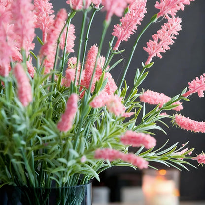 1000pcs Mixed Lavender Seeds for Planting, Non-GMO Heirloom Lavender Perennial Flower Seeds Plants, Open Pollinated Beauty Home Garden Flowers in Outdoors Indoors