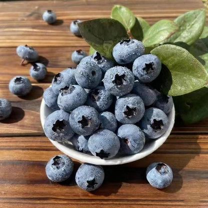 487Pcs Blueberry Seeds for Planting, Non-GMO Blueberry Seed, Fruit Tree Seeds, Heirloom Berry Seed for Gardens and Containers
