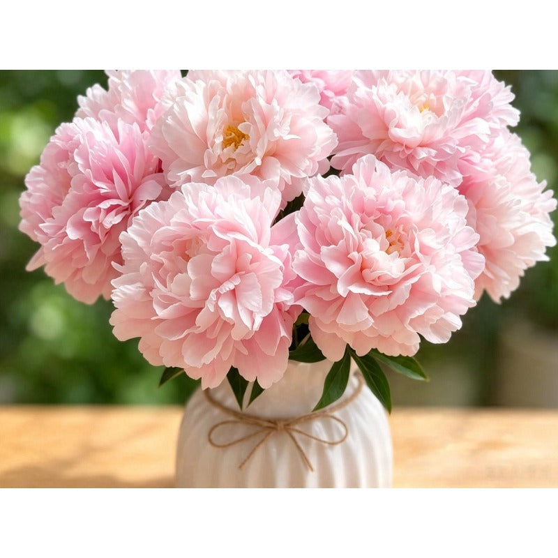24Pcs Great For Growing Peony Seeds That Produce Lush Foliage Early In The Growing Season