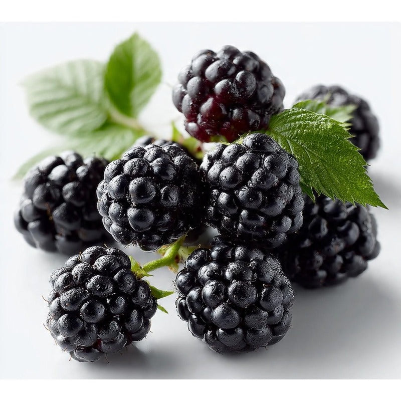 185Pcs Rustic Style Bushes Blackberry Seeds Country Charm For Rural Gardens Simple To Cultivate