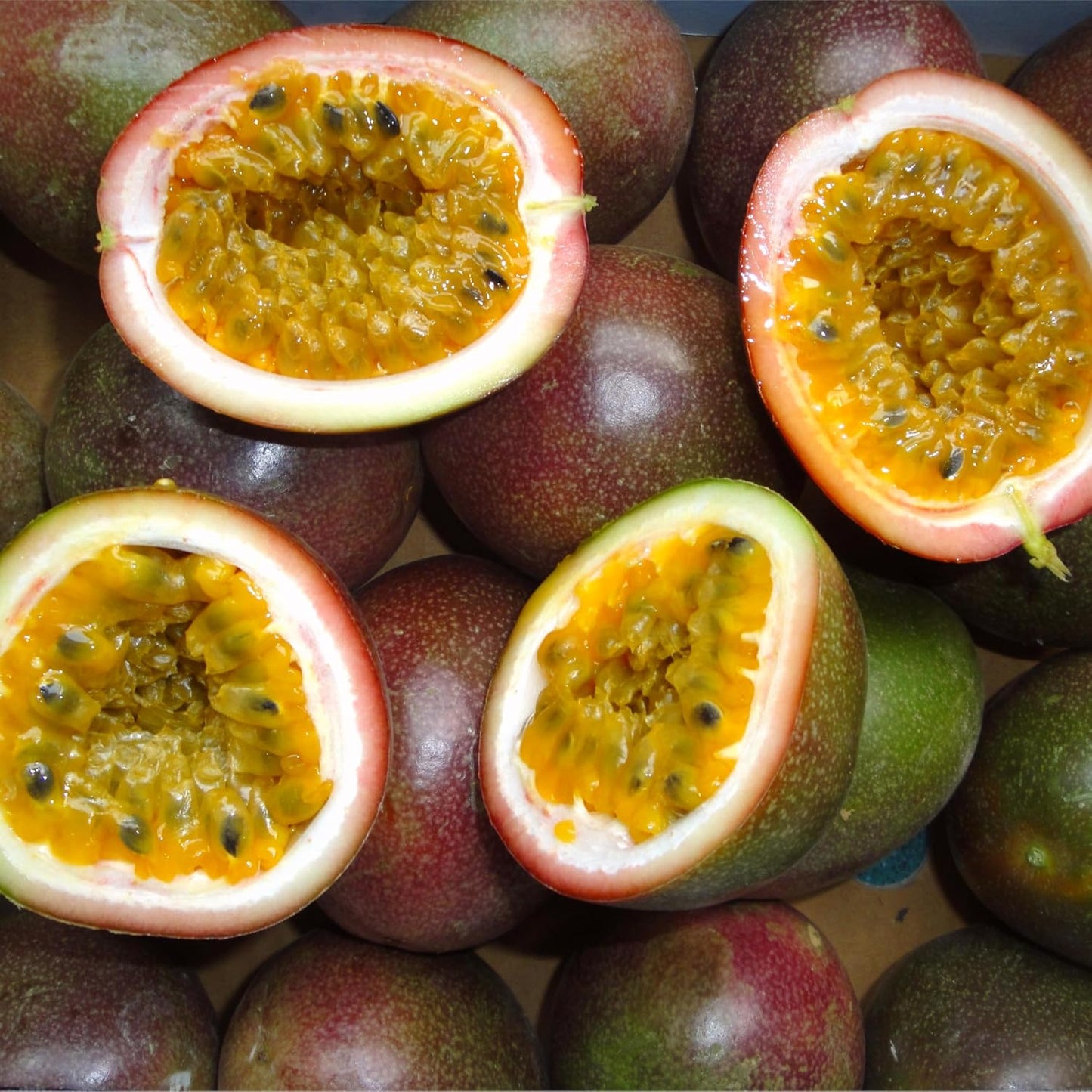 87Pcs Passion Fruit Seeds for Planting,  Fast-Growing Sweet Fruit for Home Garden