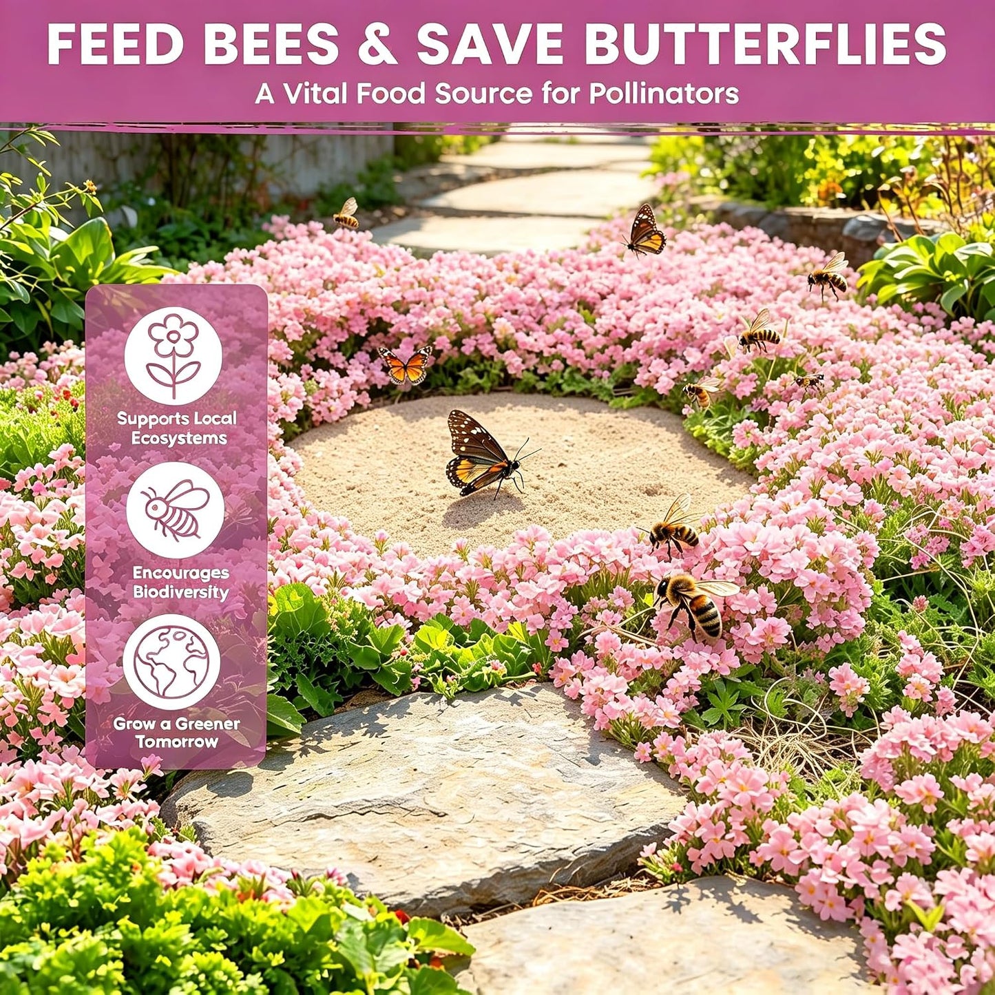 Pink Creeping Thyme Ground Cover Flower Seeds for Planting, 500pcs Perennial Pink Creeping Wild Thymus Seeds, Non-GMO Heirloom Wild Thymus Serpyllum Flower Plants for Home Garden Outdoors