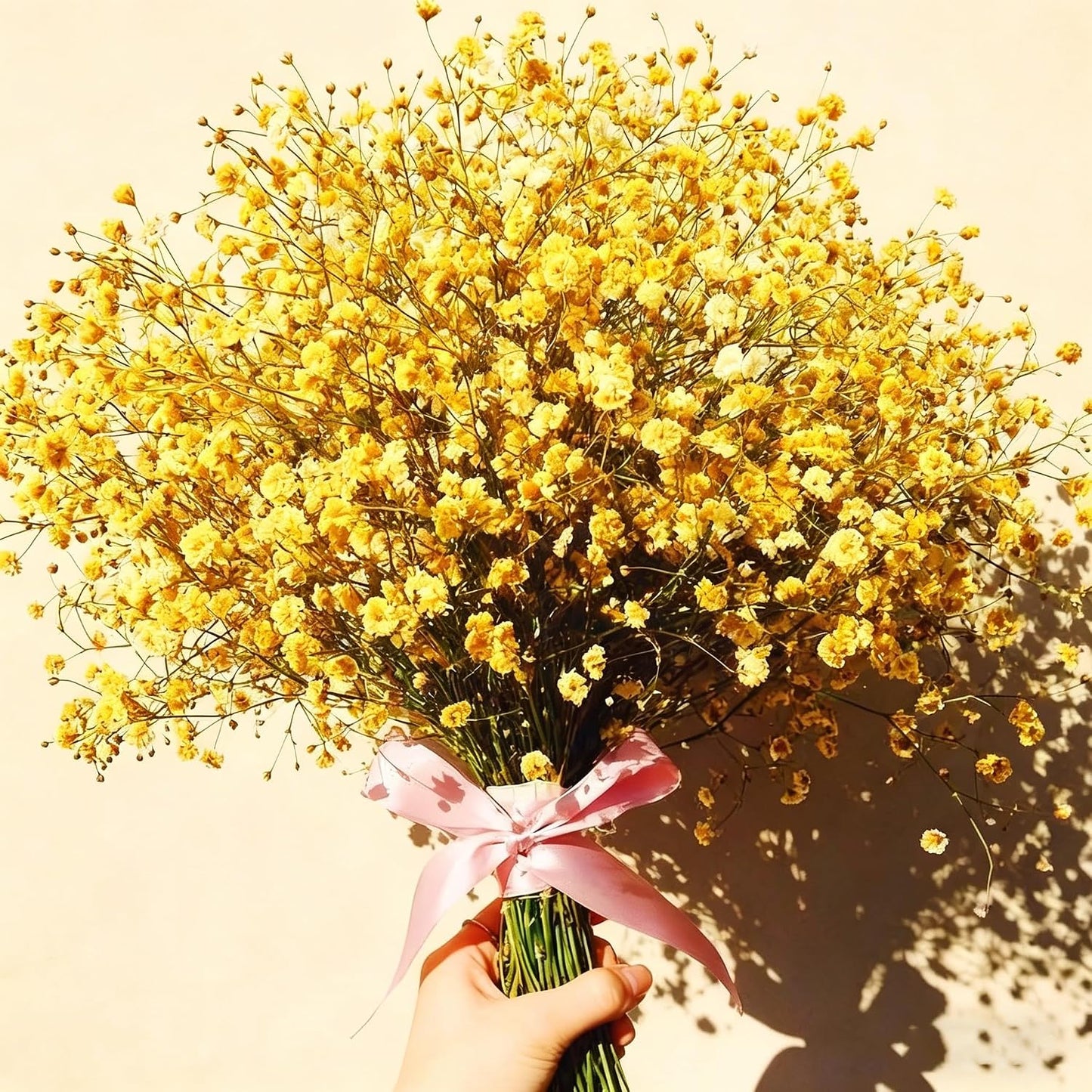 100 Mixed Annual Gypsophila Flower Seed, Non-GMO Baby's Breath Seed for Garden Outdoor