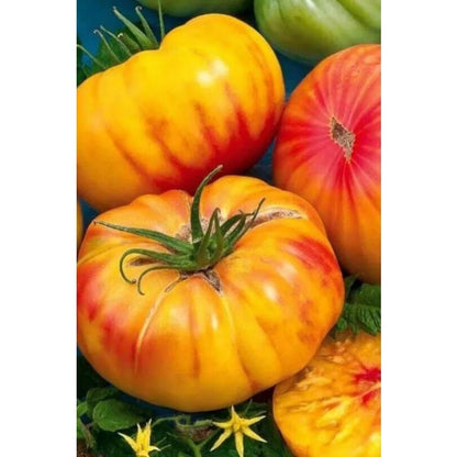 180Pcs Tomato Seeds Fit Perfectly Into Cottage Farmhouse And Modern Casual Outdoor Design Themes