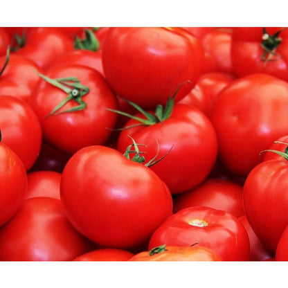 Tall Climbing Vines Grown From 200Pcs Tomato Seeds Create Attractive Natural Backdrops In Any Yard