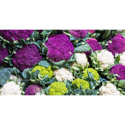 200pcs Cauliflower seeds Cabbage Mix Non GMO Vegetable for Planting