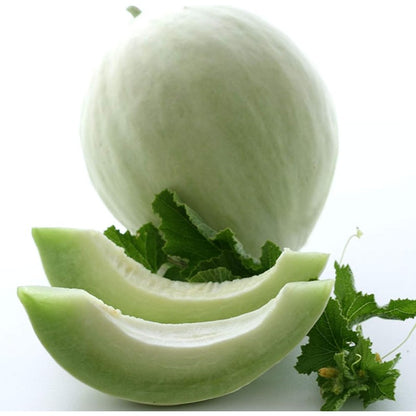 50Pcs Honeydew Melon Seeds Suitable for casual planting feature strong natural vitality for fast lush vine garden establishment