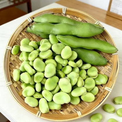 Suitable for beginner planting 5pcs Fava Bean Seeds flourish in loose fertile soil suited for row and open ground cultivation
