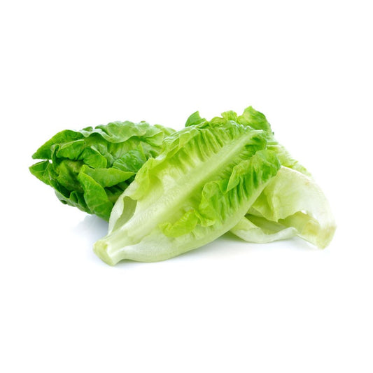 1000pcs Suitable for beginner planting Lettuce Seeds flourish in ordinary well-drained soil suited for garden foliage cultivation