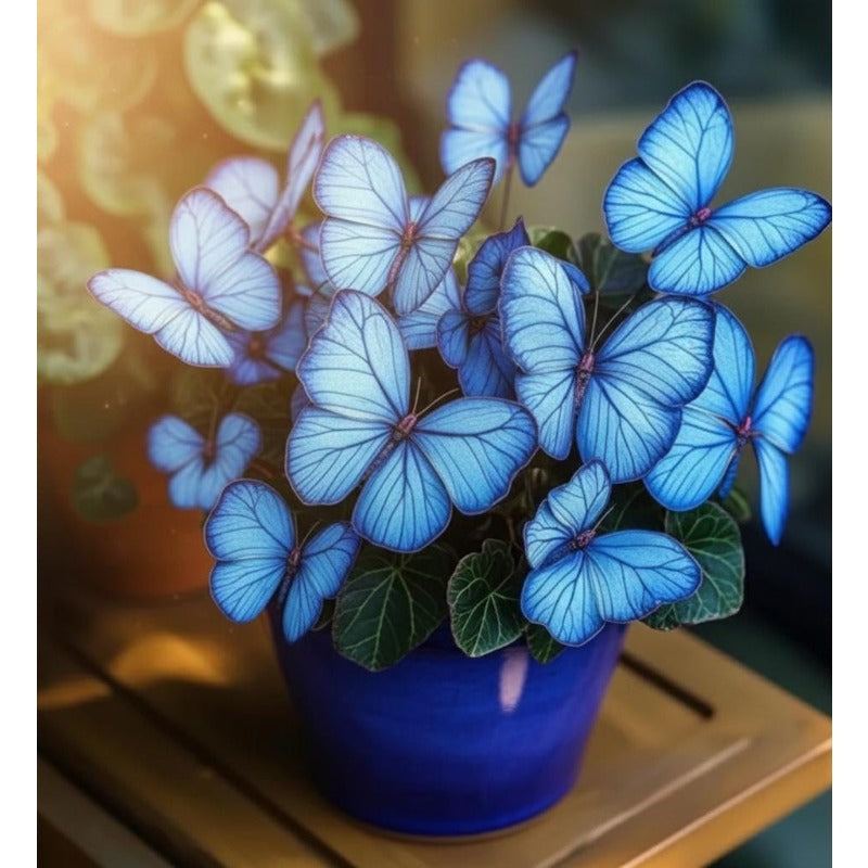 200Pcs Starry Blue Butterfly Begonia Seeds  Ornamental Foliage Plant