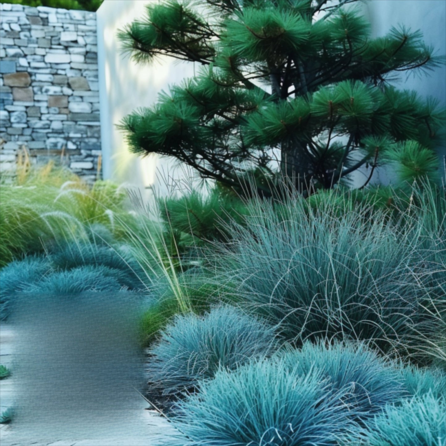 492Pcs Fescue Seeds Convenient to Grow mature naturally into smooth even ground form with steady spreading tendency