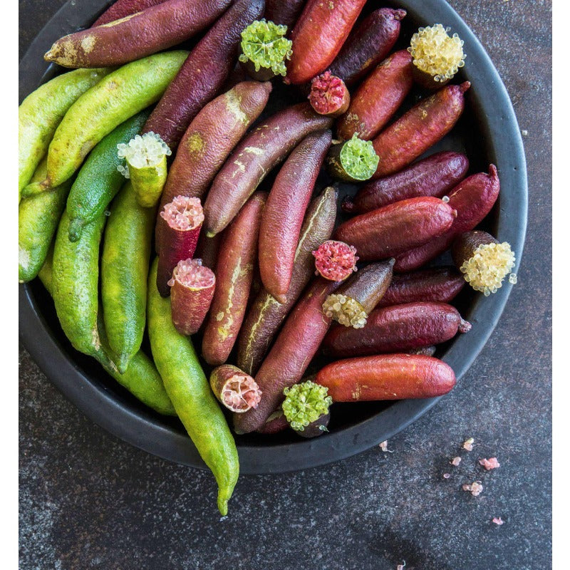 30Pcs Finger Lime Seeds Ideal For Growing Work Well In Foundation Plantings And Landscapes