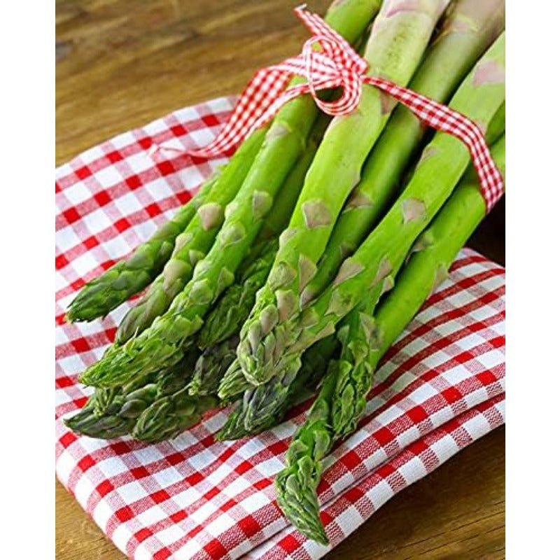 100pcs Straightforward Growing Asparagus Seeds ideal for lining garden bed rows, border edges and leisure open grounds