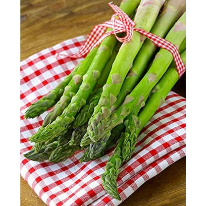 100pcs Straightforward Growing Asparagus Seeds ideal for lining garden bed rows, border edges and leisure open grounds