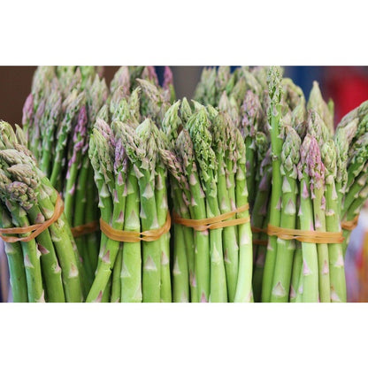 100pcs Straightforward Growing Asparagus Seeds ideal for lining garden bed rows, border edges and leisure open grounds